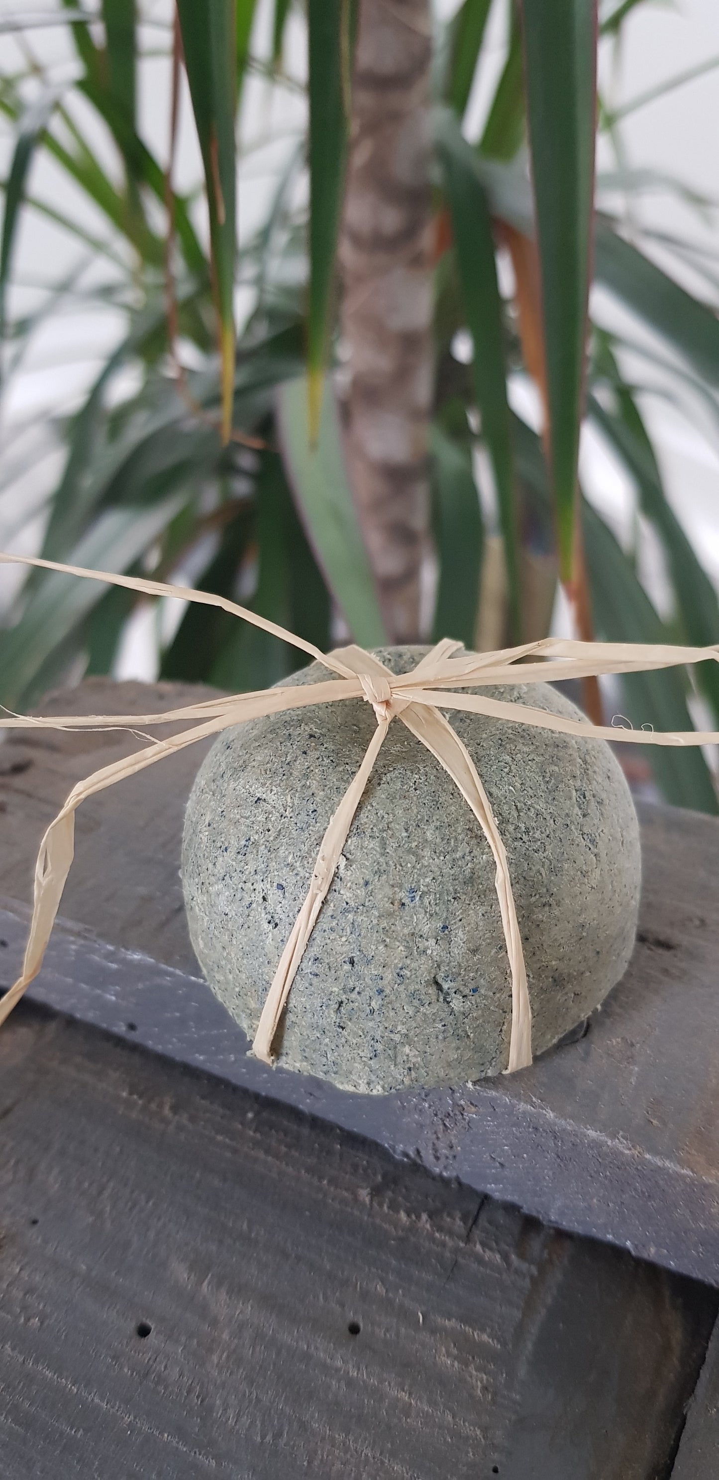 Shampooing solide à la spiruline